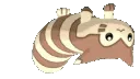 FurretwalkRI