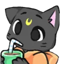 kittysip01 Discord Emoji