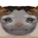 fatgud