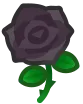 roseblack_ac