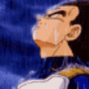 Zasadvegeta Discord Emoji