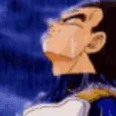 asadvegeta asadvegeta