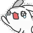 bunnynooo