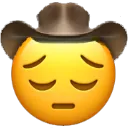 pensivecowboy pensivecowboy