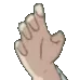 FingerR