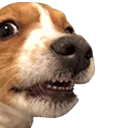 novacreep novacreep