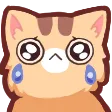 nkoCry