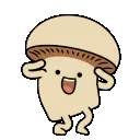 dancemush