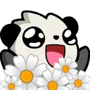 pandadaisy
