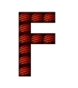 Fbt