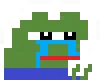 ppHands
