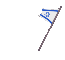 Flagwave