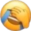 hahawtf Emoji