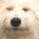 __ Discord emoji