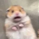 TE_scared_hamster Discord Emoji