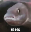 NoPog