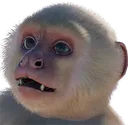 MonkeyWoah MonkeyWoah