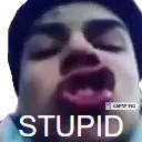 STUPID