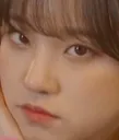 yuqireally