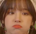 yuqipuppyface yuqipuppyface