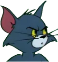tom tom