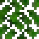 leaves leaves