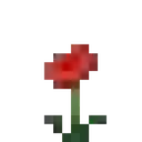poppy