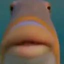 fart