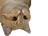 :chatreverse: chatreverse