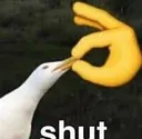 duckshut