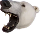 PolarBearRoar PolarBearRoar