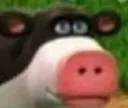 otis