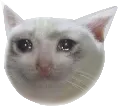 sad Discord Emoji