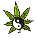 stoner
