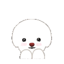 shy