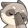 raccoonfacepalm