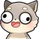 raccoonderp
