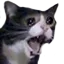 catftw Discord Emoji