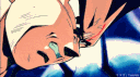 DBFC_Vegeta_Cry2 Discord Emoji