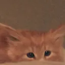 HePeek