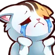 cat_cry