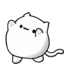 BongoCattoVibes