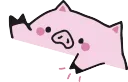 BongoPiglet
