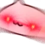 BongoWoke