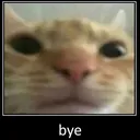 bye