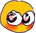 blushuu