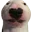 walter