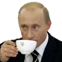 putinsip