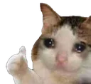 ThumbsMaaaaaaaaaaaagh ThumbsMaaaaaaaaaaaagh