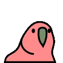slowparrot slowparrot